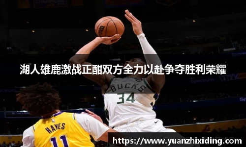 芒果体育app下载